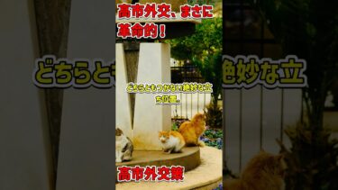 高市早苗の独自外交スタンスが世界を魅了する理由 #高市外交 #国益最優先