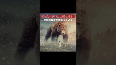 【ニュース解説】人も熊も限界。温暖化が変える日本と、核融合の希望。 #今日の1分トピック #国際ニュース