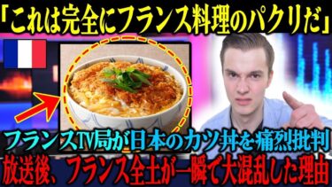 【海外の反応】「日本がフランス料理を盗んでる！」日本のカツ丼を特集したフランスTV局、放送10秒後にフランス全土が大混乱に陥った理由【海外レビュー】【日本称賛】