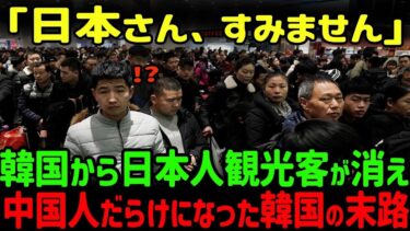 【海外の反応】「日本人が来ないのがいけない！！」韓国から忽然と日本人観光客が消え中国人で埋め尽くされ韓国人が大激怒した理由とは…