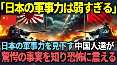 【海外の反応】「日本は雑魚すぎる」と日本の軍事力を見下す中国が世界最強と話す中国人が驚愕の事実を知り、絶句した理由