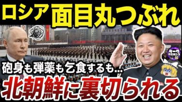 【ゆっくり解説】弾薬と砲身の見返りに最重要軍事技術を提供する北朝鮮