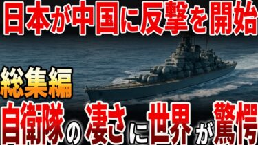 【総集編】日本が中国に反撃を開始？自衛隊の凄さに世界が驚愕！？