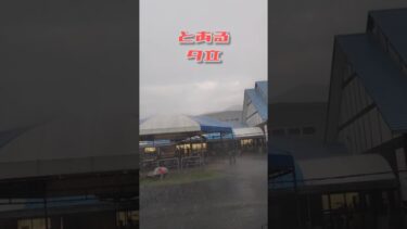 10/14 こんなん予想出来るか！　#vlog #日常 #天候 #天気 #異常気象 #虹 #ショート #shorts