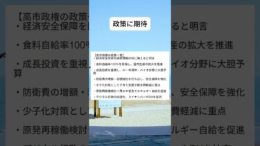 未来が待ち遠しい #日本 #海外の反応 #ニュース #衝撃 #japan #高市早苗 #衝撃の事実 #shorts