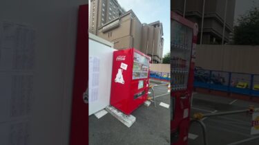 北極みたいに冷えてるよ。 #shorts #trip #japan #地球温暖化