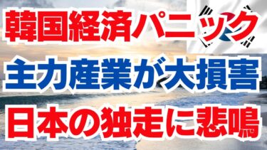 韓国経済パニック　主力産業が大損害　日本の独走に悲鳴