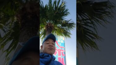 イスラエルとハマス、ガザ和平「第１段階」の戦闘停止と人質解放合意…１３日にも全員解放の見通し
