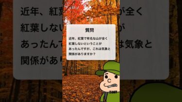 未来の紅葉はどうなる？地球温暖化がもたらす変化と秋登山 #shorts