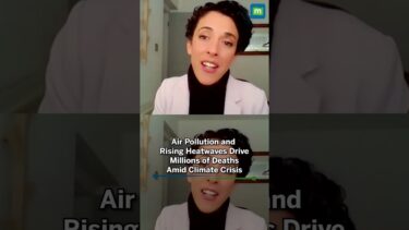 Ahead of COP30, report finds rising deaths linked to climate change