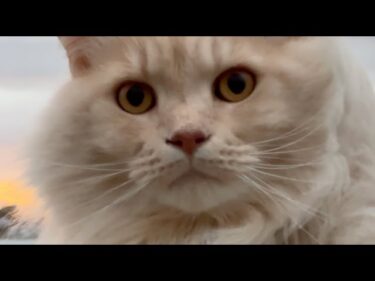 Extreme Weather Somewhere Every Day ~ Iceland & Jamaica Yesterday ~ Incoming