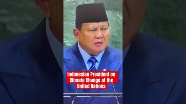 How Indonesia is Addressing Climate Change?