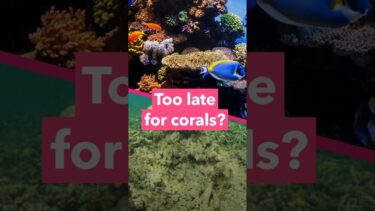 We just hit a climate tipping point