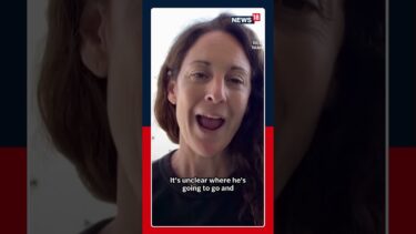 Will Trump visit Gaza | Ceasefire takes effect in Gaza, raises hopes for war