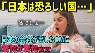【海外の反応】「日本は恐ろしい国…」日本の会社が出したCMにアメリカ人が驚愕…→その理由とは!？【日本人も知らない真のニッポン】【総集編】