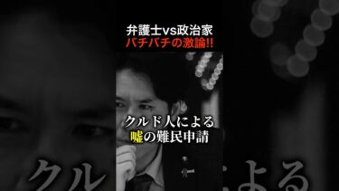 【保守派vsリベラル】川口で起こるクルド人違法移民問題の真相とは？