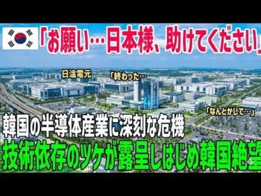 【海外の反応】韓国の半導体産業が崩壊寸前！日本から技術を盗んだ“ツケ”がついに回る！