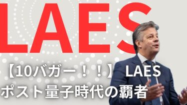 【10バガー!!】LAES: SEALSQ Corp量子コンピュータが全てを破壊する日。唯一の解決策を持つ半導体企業