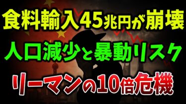 【海外の反応】戦後最大の危機!中国70兆ドル債務爆弾+GDP比335%借金+関税245%で世界経済が崩壊カウントダウン【ゆっくり解説】