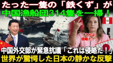【海外の反応】「鉄くず」と笑われた日本の退役艦が、わずか48時間で中国漁船団314隻を一掃。世界が凍りついた“静かな反撃”の真実とは。
