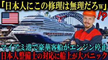 【海外の反応】「日本の整備士なんて信用できるか！」マイアミ港でエンジントラブルを起こした米国豪華客船で日本人整備士が見せた対応に船上が大パニックになった理由【海外レビュー】【日本称賛】