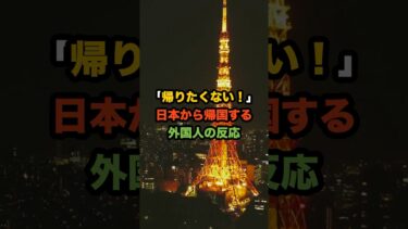 「帰りたくない！」日本から帰国する外国人の反応 #外国人の反応 #海外の反応 #日本