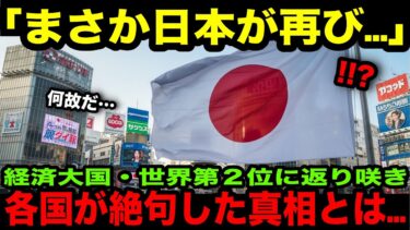 【海外の反応】「まさか日本が再び⁉」世界2位の経済大国と判明し各国言葉をうしなった…仰天の理由とは‼