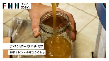【ハチミツが消える！？】異常気象で美食大国フランスがピンチ　ラベンダーが枯れミツバチも激減