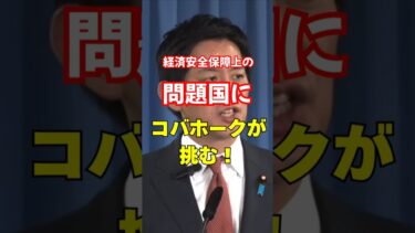 経済安全保障上の問題国にコバホークが挑む！ #経済安全保障 #コバホーク#メガソーラー #小林鷹之 #高市早苗