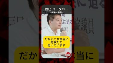 統一教会が推したスパイ防止法―自由と人権を奪う危険性！ #shorts #辰巳コータロー #スパイ #統一教会