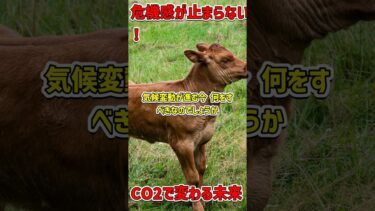 緊急警告!史上最高のCO2濃度が地球を脅かす #地球温暖化 #CO2削減 #気候変動対策