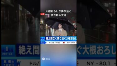北海道の異常気象 #ai #sora2 #ニュース