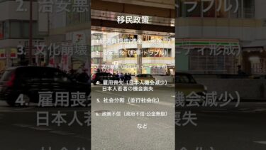 [移民政策の問題点] 移民政策反対デモ　大阪