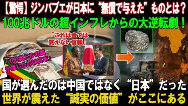 【海外の反応】「インフレ率が5兆パーセントに達し、パン一個が300億ドルという時代を乗り越えたジンバブエは、日本への恩返しを果たした。」