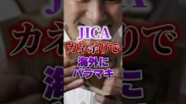 【移民問題｜JICA】税金をばら撒く｜海外アートにお金出す