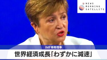 IMF専務理事　世界経済成長「わずかに減速【モーサテ】