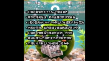 日銀“動かず”決定　0.5％金利据え置きの裏にある世界経済の不安 #日銀 #金利政策 #植田総裁 #金融政策 #日本経済 #一分でわかる #時事ネタ