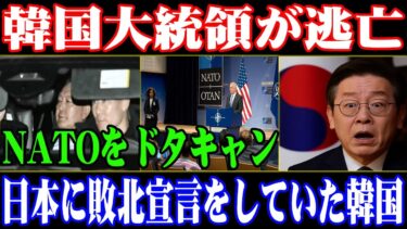 【海外の反応】韓国大統領が逃亡！NATOをドタキャン→日本に敗北宣言をしていた韓国#韓国大統領逃亡#NATOドタキャン#海外の反応#日本外交#国際ニュース