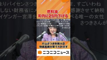 「燃料油、年内に25円下げる」=片山財務相、物価高騰対策で方針示す