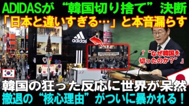 【海外の反応】「日本だけは特別だ」adidasが語った“信頼と品格”韓国撤退の裏で世界が見た日本の存在感