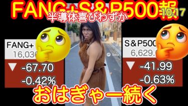 【また寄り天!?】TSMC決算よし！半導体あげるも上昇少なめ。地方銀行経営悪化でムード冷え込む。FANG+は来週決算まで耐えるぞ！【米国株ニュース、新NISA攻略！FANG+S&P500=❤️】