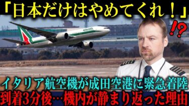 【海外の反応】「日本だけはやめてくれ！」エンジントラブルで成田に緊急着陸したイタリアの航空機パイロットが到着3分後、異様すぎる光景に唖然とした理由【海外レビュー】【日本称賛】