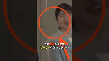 万博視察で明暗くっきり…愛子さまと佳子さまを分けた「たった一つの違い」#日本 #ニュース #海外の反応 #皇室 #雑学 #天皇陛下 #雅子さま #愛子さま