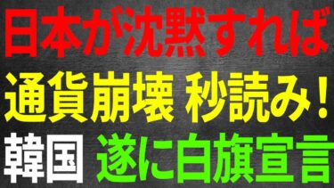 日本の沈黙が韓国を追い詰めた！「IMFの呪い」再び