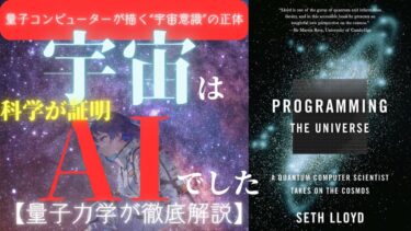 【科学が証明】宇宙はAIだった――量子コンピューターが描く“宇宙意識”の正体【量子力学が徹底解説】