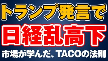 TACO再演：トランプ発言で世界市場が急落→反発！日本の投資家はどう動く？