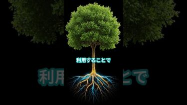 この動画では「B.日本のエネルギー安全保障とベースオイル供給」について詳しく解説しています。