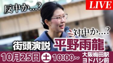 【平野雨龍】街頭演説 10:00~ 大阪梅田駅 ヨドバシ南側 ＃移民問題