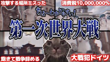 分かりやすすぎる第一次世界大戦【猫ミーム】