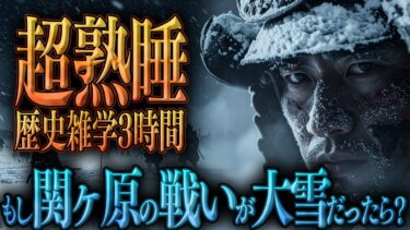 【睡眠導入】異常気象でシュミレーション…もしも関ヶ原の戦いが悪天候だったら？【歴史雑学】
